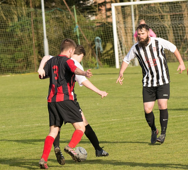 均能得到規 均能得到規