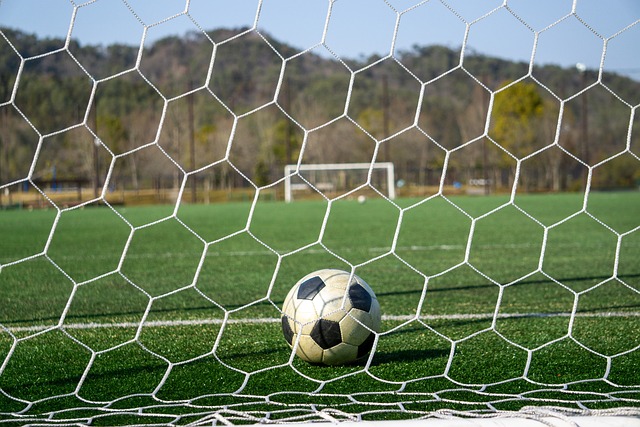 以表達對 以表達對